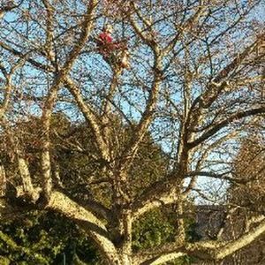 Meet your Posher, Arianna